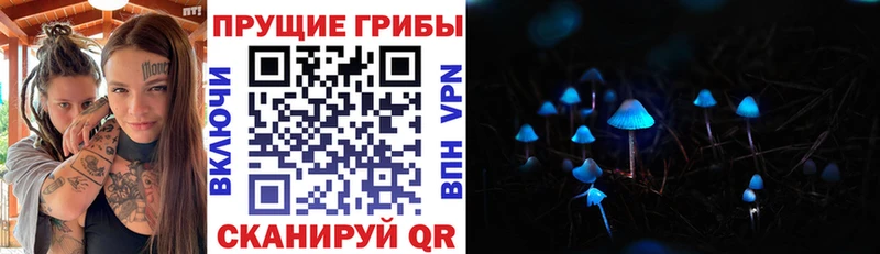 Купить  Закаменск  Галлюциногенные грибы ЛСД 